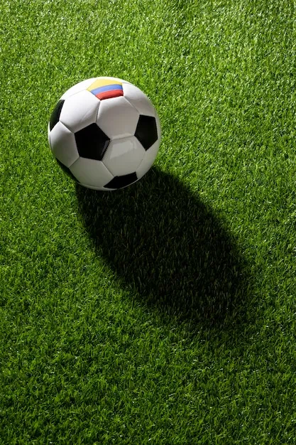 满冠体育App下载